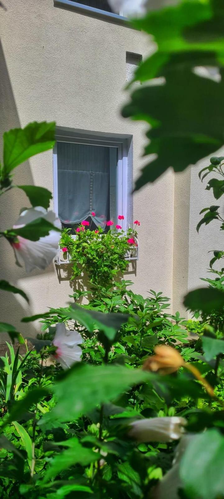 Anna'S Guesthouse クルージュ＝ナポカ エクステリア 写真